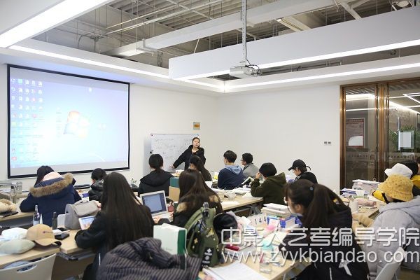 影视分析写作模板