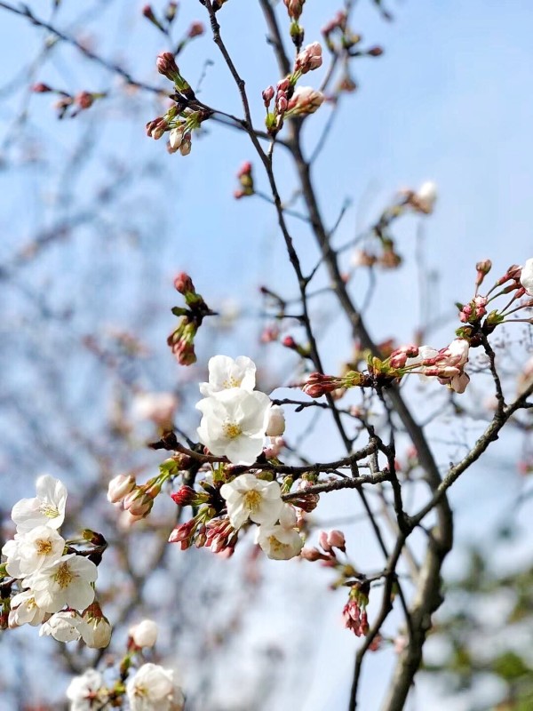 【勵志】101句 值得收藏的座右銘 | 經典勵志名言佳句：你不一定要很厲害，才能開始；你要開始，才能很厲害