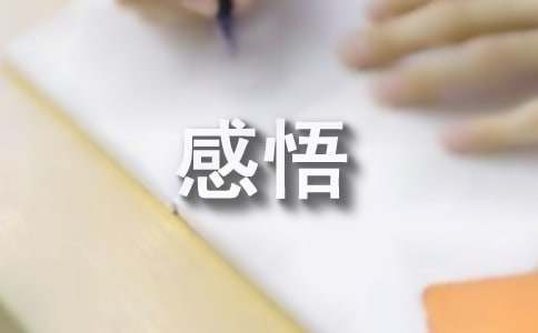 积极人生感悟文章
