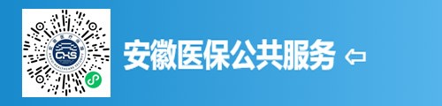 安徽医保公共服务（微信小程序）