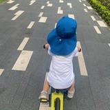 宝木