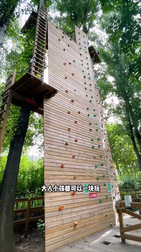丛林攀岩墙.jpg