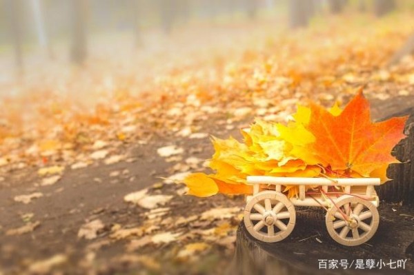 人生感悟：活得轻松点，比什么都好