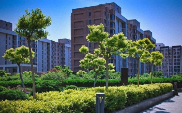 社区建设如何提升居民幸福感的全方位探讨