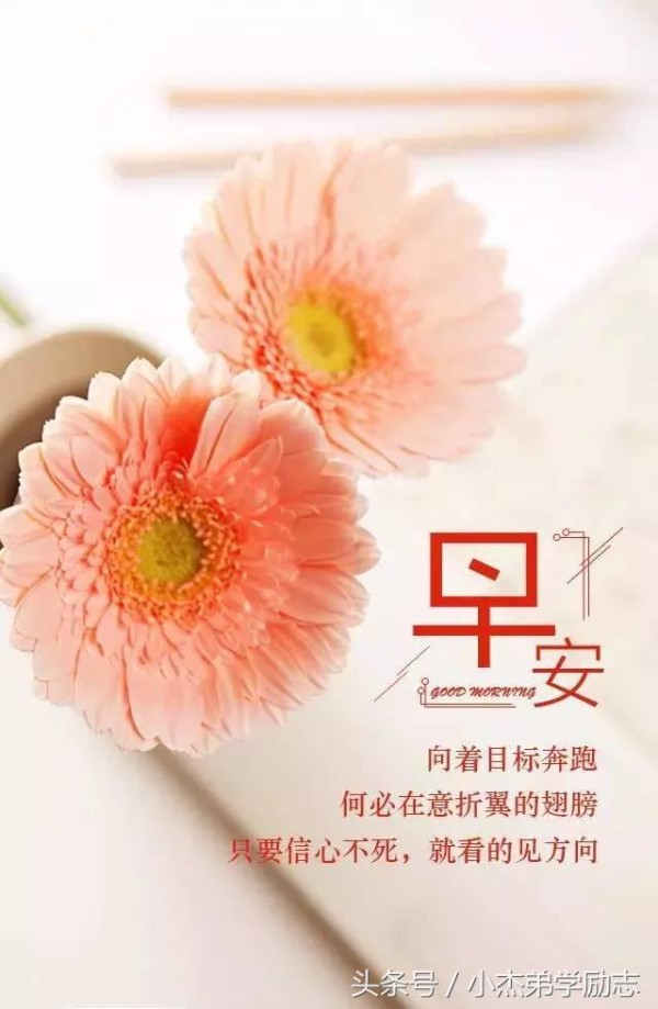 早安心语正能量一句话 励志简短句子