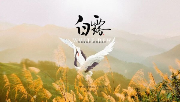 转存图片