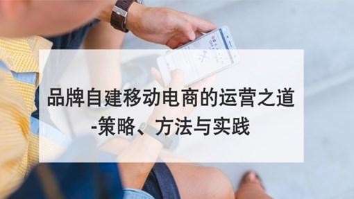品牌自建移动电商的运营之道 -策略、方法与实践封面图
