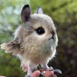 特殊期江湖隐士