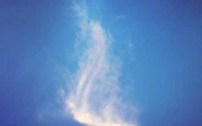 设置选项步骤