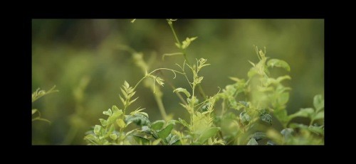 纪录片《高质量 好生活》：记录中国高质量发展实践密码