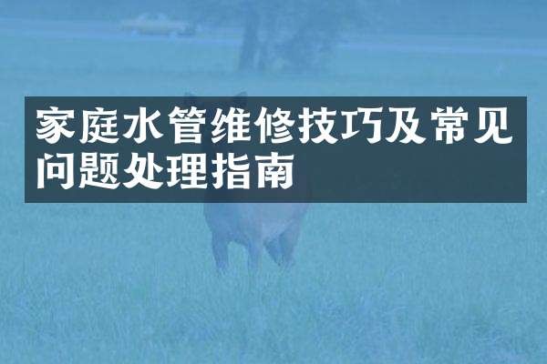 家庭水管维修技巧及常见问题处理指南
