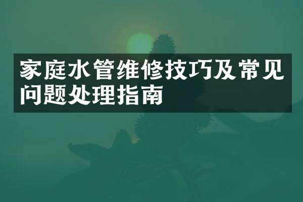 家庭水管维修技巧及常见问题处理指南