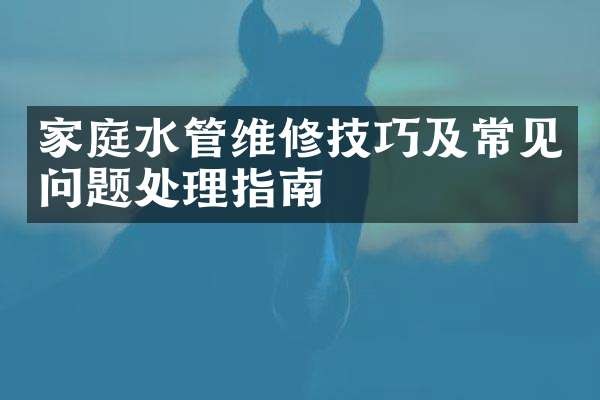 家庭水管维修技巧及常见问题处理指南