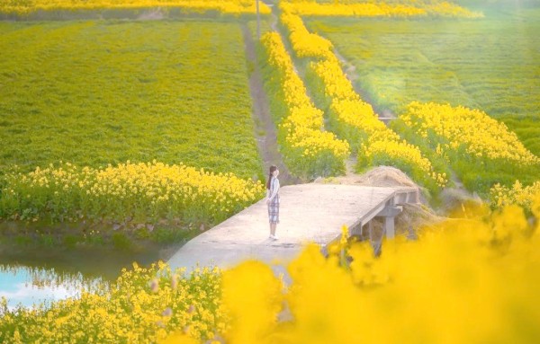 人生智慧：从生活中学以致用的十个启示