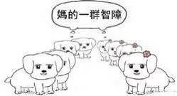 妈的智障