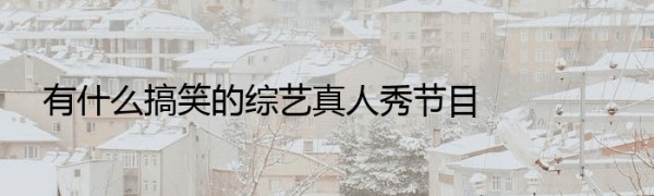 有什么搞笑的综艺真人秀节目