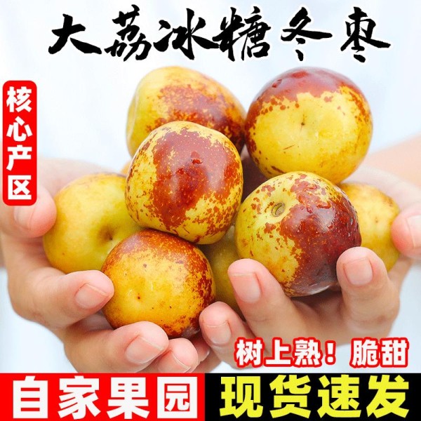 陕西大荔冬枣：一口咬下脆甜爆汁的秋日限定美味