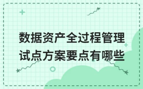 数据资产全过程管理试点方案要点有哪些