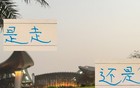 特谢拉！马纳法！ 合同准备到期 下赛季是走？还留？