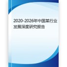 全球及中国个性化童装成长记录服装定制行业前景趋势预测及发展战略咨询报告（2025-2030年）