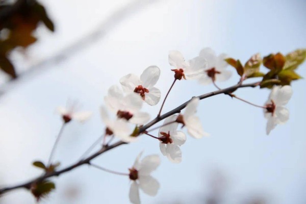情绪调节的六种方法
