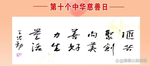 95中华慈善日专题：慈善的强大