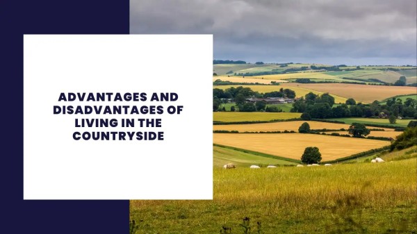 Advantages and Disadvantages of Living in the Countryside