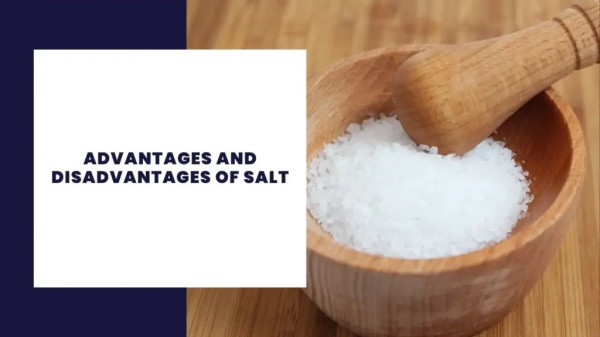 Advantages and Disadvantages of Salt