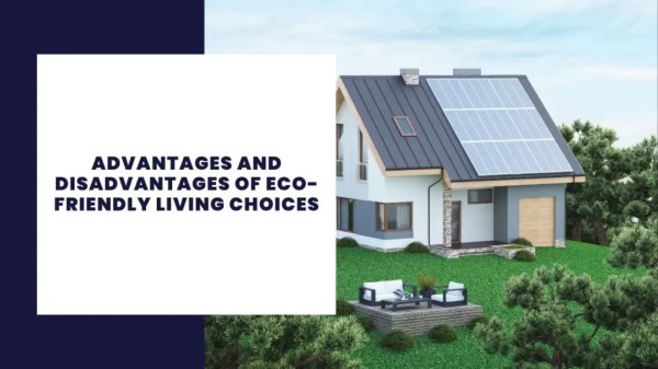 Advantages and Disadvantages of Eco-Friendly Living Choices