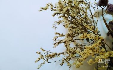 华律网