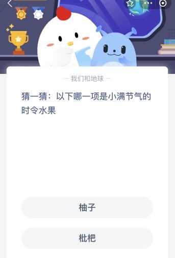 蚂蚁庄园今日答案最新：以下哪一项是小满节气的时令水果？柚子还是枇杷