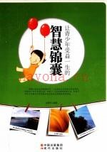让青少年受益一生的智慧锦囊 (让青少年健康成长)