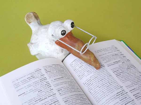 大学社交有哪些重要