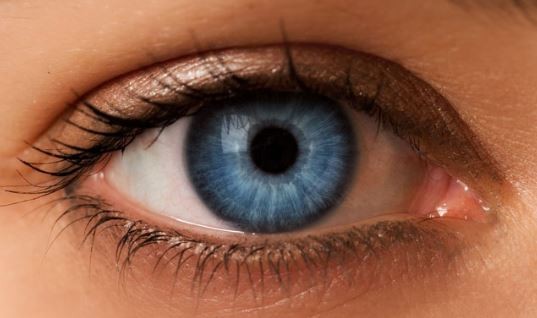 Blue Iris Caused by Tyndall Effect