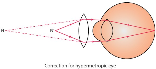 NCERT Solutions for Class 10 Chapter 11 Image 2