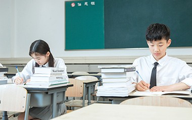 辅导详情