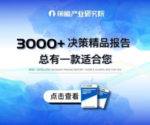 前瞻决策报告精选