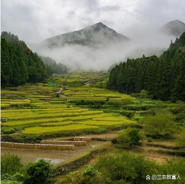 种植方法有几种？一场从泥土到未来的农场，5种神术你不知道