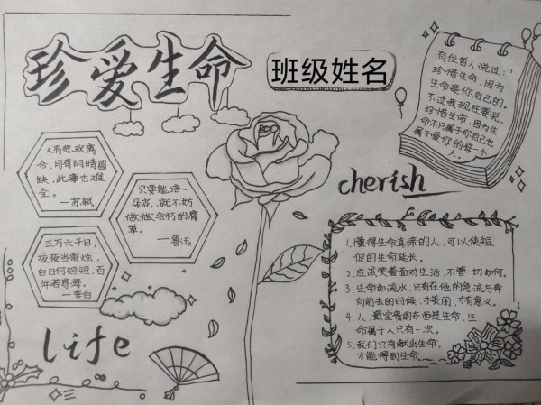 珍爱生命快乐成长手抄报 珍爱生命快乐成长手抄报一等奖