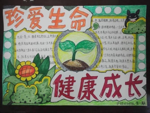 珍爱生命快乐成长手抄报 珍爱生命快乐成长手抄报一等奖