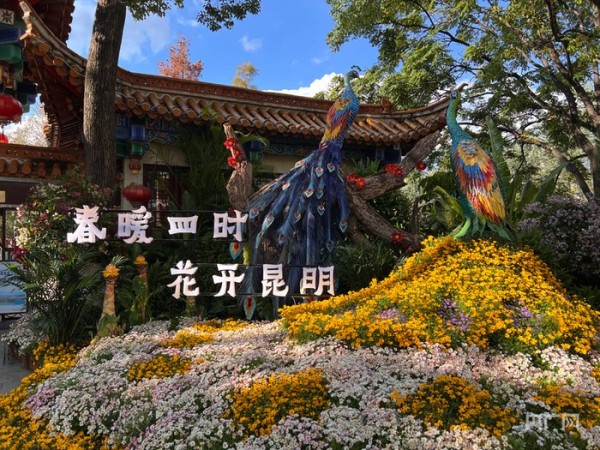 翠湖边上的鲜花花坛（央广网记者 魏文青 摄）
