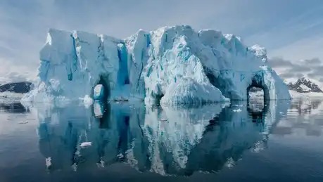 L'ouest de la péninsule Antarctique se réchauffe plus rapidement que le reste de la planète. 90 ...
