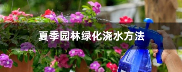 夏季园林绿化浇水方法