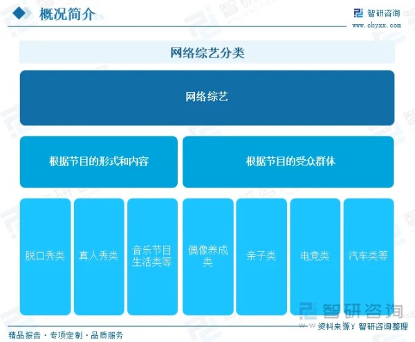 网络综艺分类