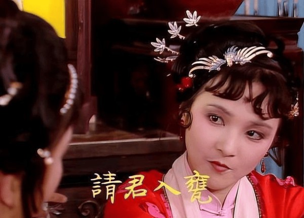 薛宝琴的诗，“不在梅边在柳边”，暗示了怎样的结局？