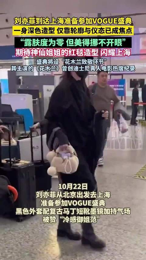 刘亦菲创意打码方式引网友调侃