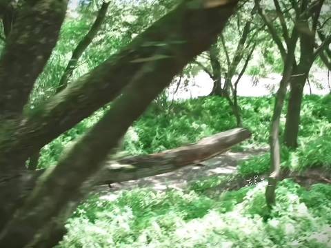 如果你问我什么是少年感 我为这一幕封神  常华森·苏昌河