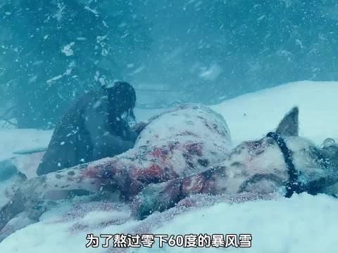 男人为了熬过极寒之夜，竟躲进了马肚子里