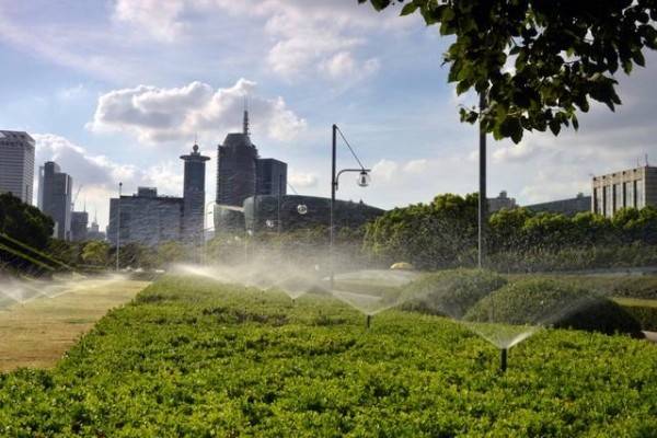 绿化养护：构筑城市生态的绿色生命线