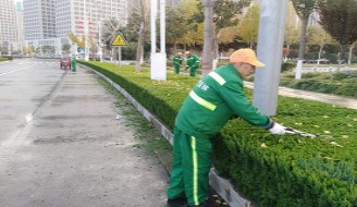  园林养护